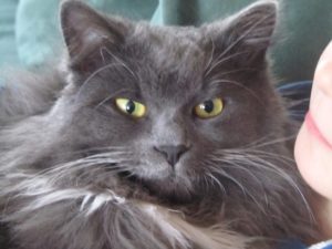 Die Macht deiner Gedanken